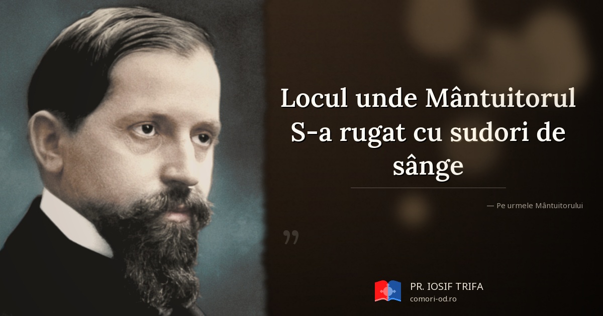 Locul unde Mântuitorul S-a rugat cu sudori de sânge | Comori OD